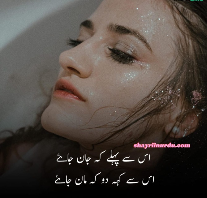 Top 340+ Breakup Shayari in Urdu