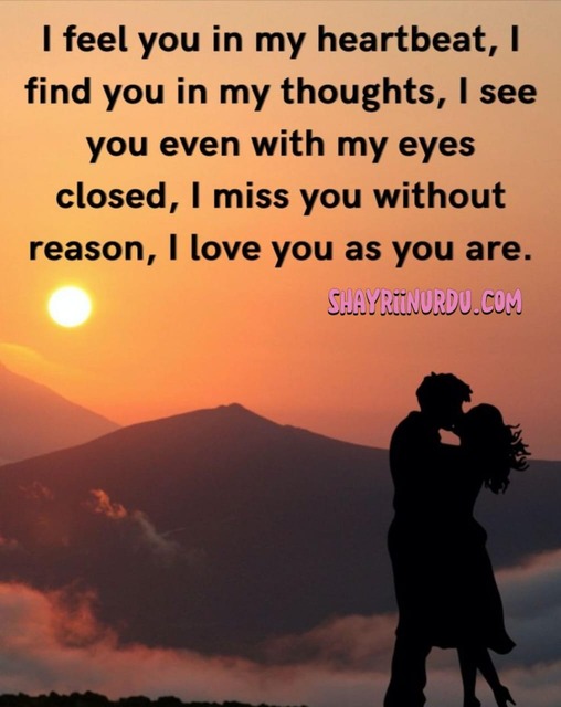 120+ Best I Love You Quotes in English