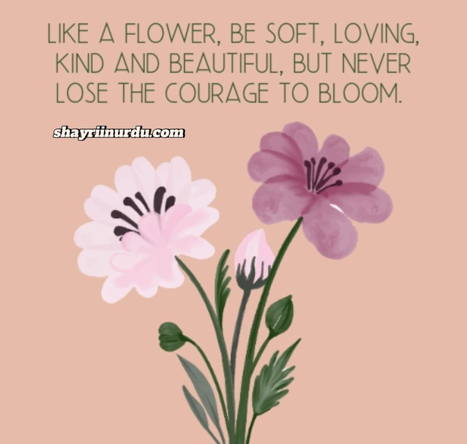 155+ Top Flower Quotes for Facebook