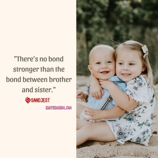 Top 100+ Heart Touching Brother  Sister Quotes.